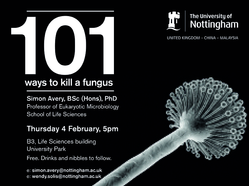 101 ways to kill a fungus 800x600
