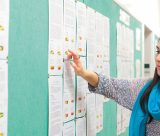 Female student checking a noticeboard 920×400