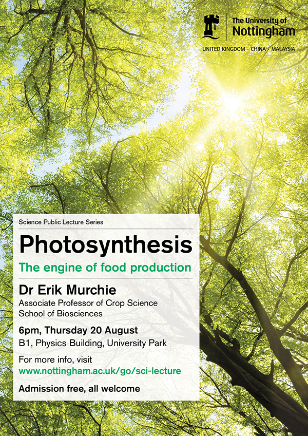 Photosynthesis web