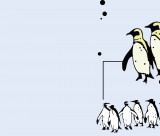 QR-penguins-Nicole-1-copy-c-11244
